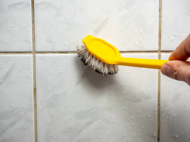 Best Certified Mold Removal  in , GA