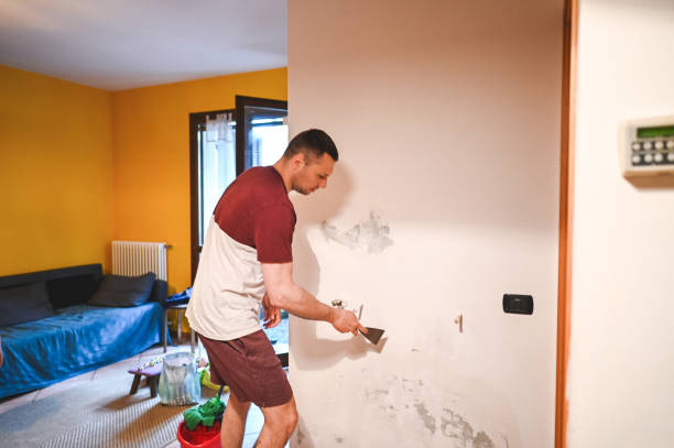 Best Black Mold Removal  in , GA